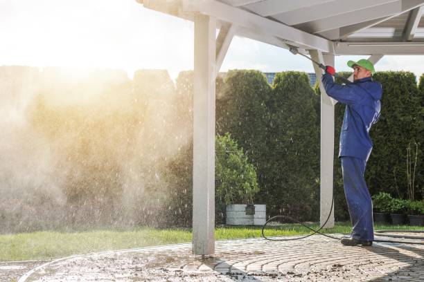 Best Solar Panel Cleaning  in Cane Savannah, SC